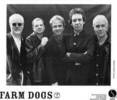 Farm Dogs