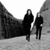 Peking Duk