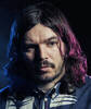 Bibio