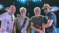 Yu Grupa
