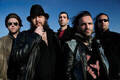 Marea