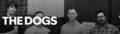 THE DOGS