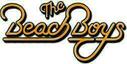 The Beach Boys LP desky
