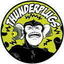 Thunderplugs Casques
