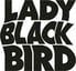 Blackbird Lady
