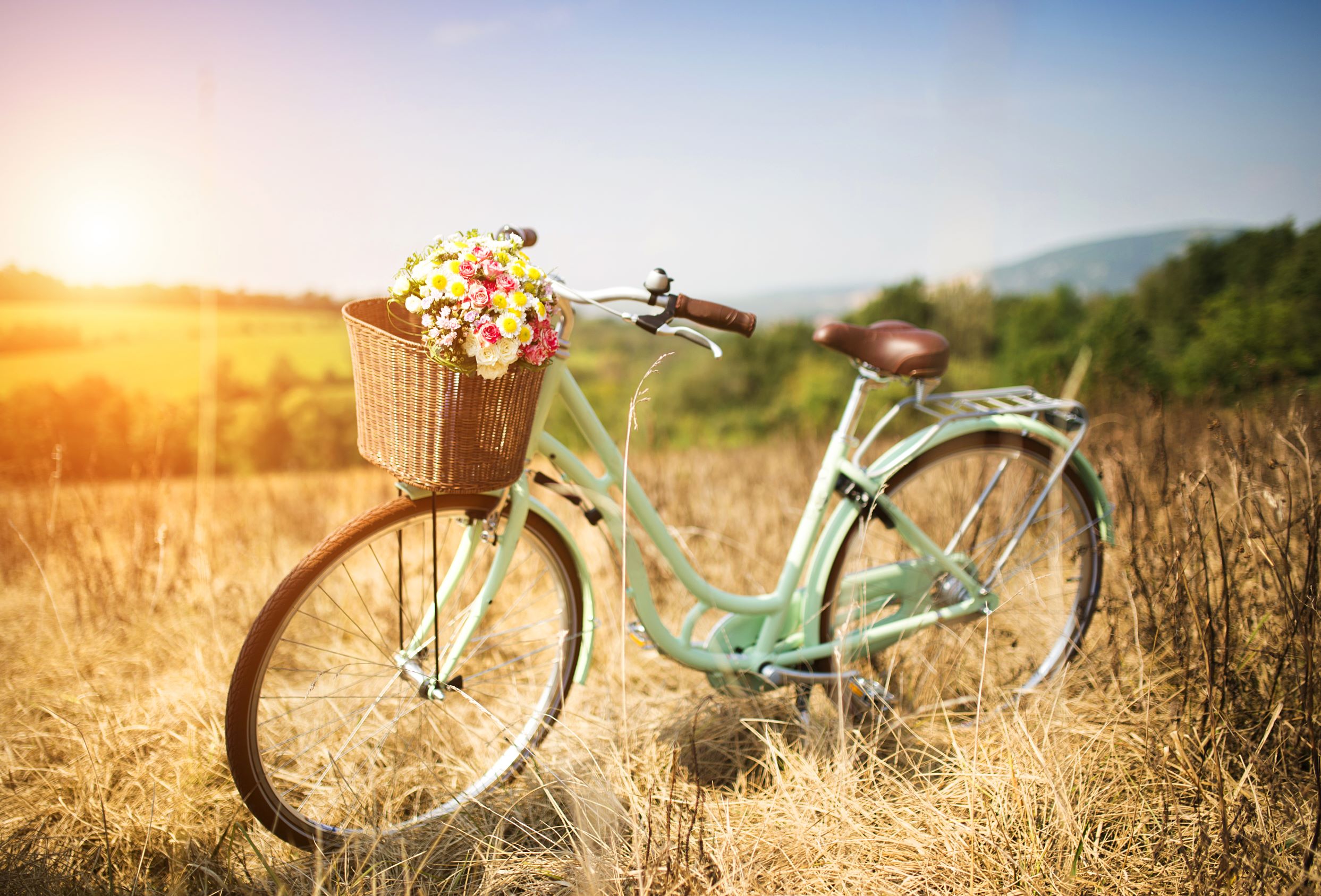 Retro-Fahrrad im Vintage-Stil mit Kotflügeln, Korb und Blumen
