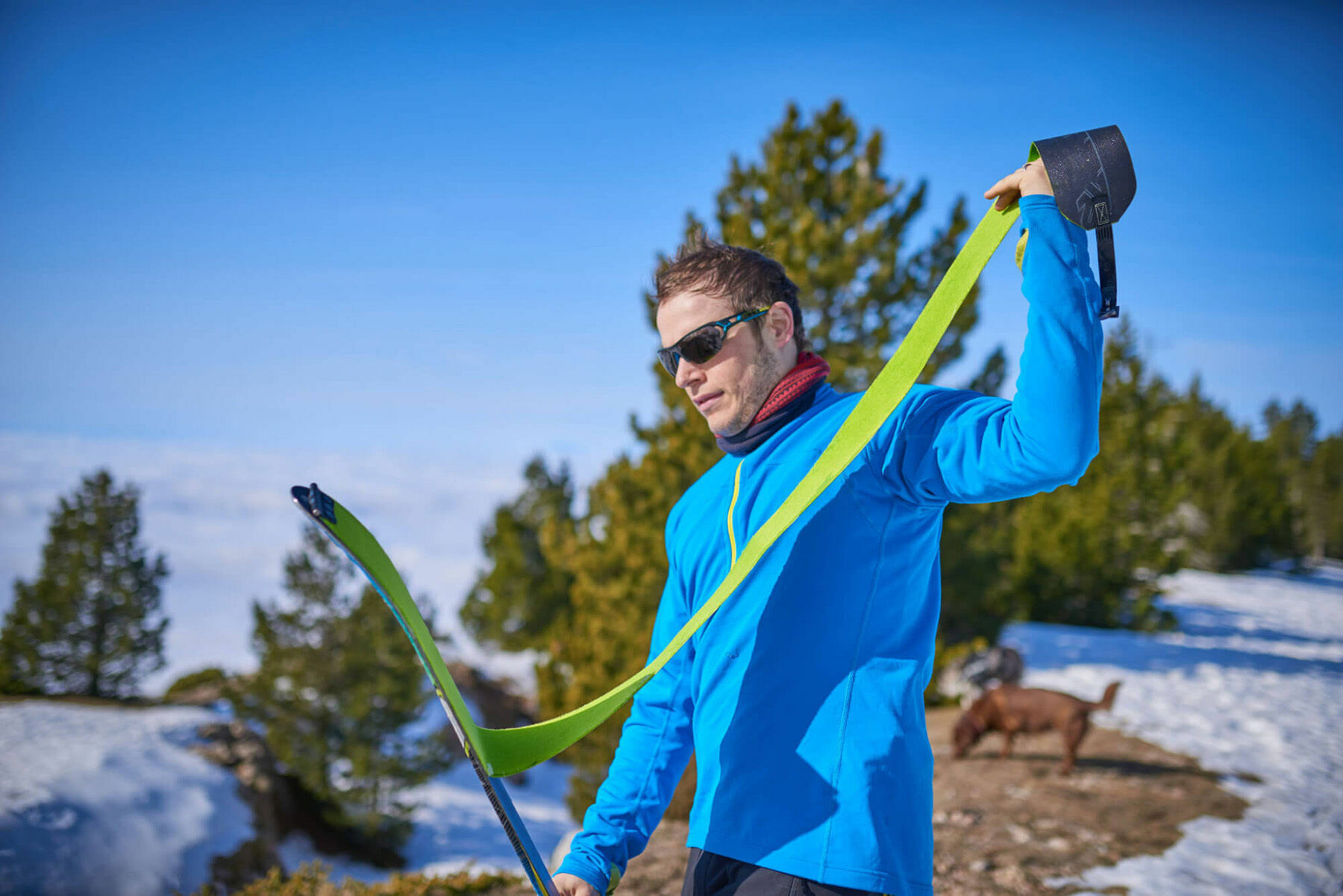 Ski touring skins How to choose and use them? Muziker