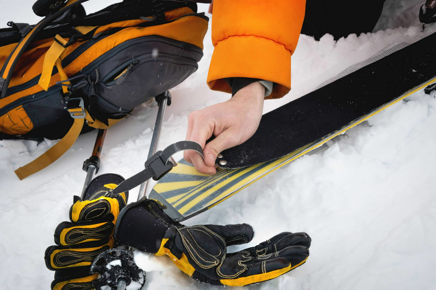 Ski touring skins How to choose and use them? Muziker