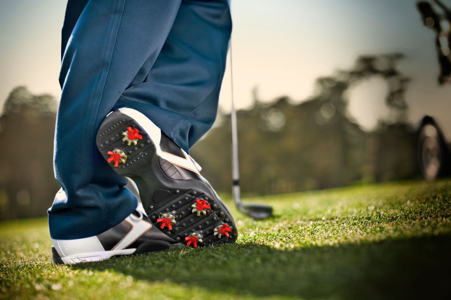 spiked golf shoes