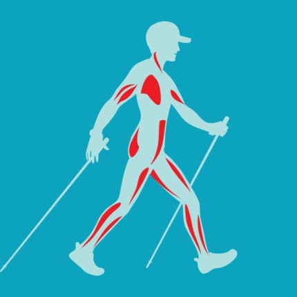 Pedone illustrato con muscoli evidenziati impegnati nel nordic walking.