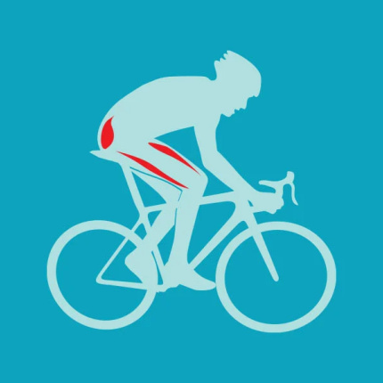 Ein illustrierter Radfahrer mit hervorgehobenen Muskeln, die beim Radfahren beansprucht werden.