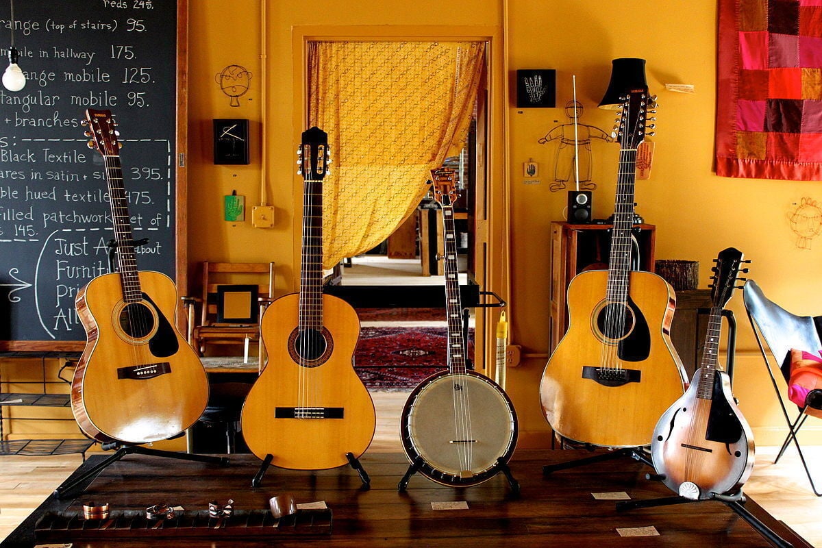Types of musical instruments: Choose the right one for you - Muziker