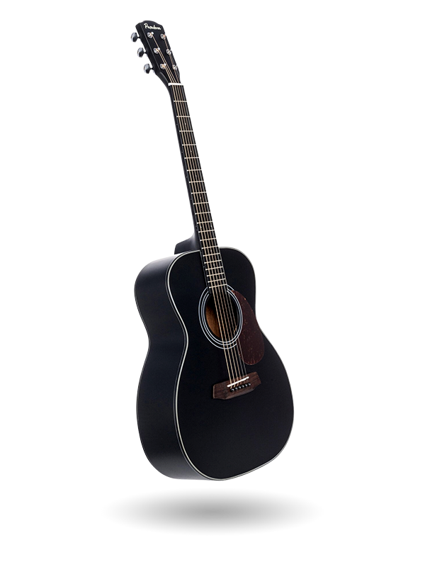 Akustična kitara Jumbo Pasadena PG-200 Black Akustična kitara Jumbo