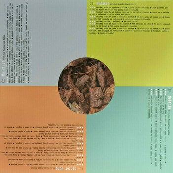 Disque vinyle Prokop Michal & Framus Five - Mohlo by to bejt nebe... (2 LP) - 4