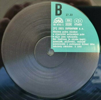 Vinyl Record Prokop Michal & Framus Five - Mohlo by to bejt nebe... (2 LP) - 7