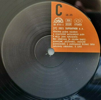 Vinyl Record Prokop Michal & Framus Five - Mohlo by to bejt nebe... (2 LP) - 8