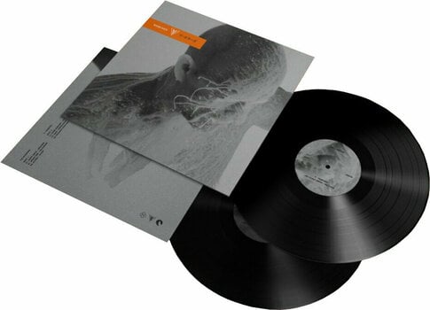 Vinyl Record The Horrors - V - Remixed (2 LP) - 2