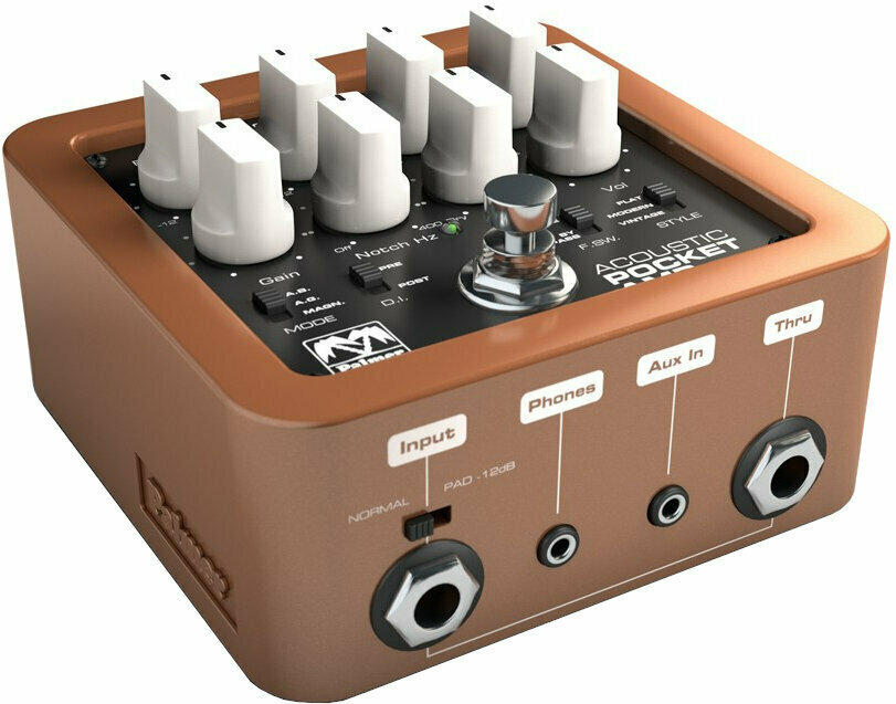 Gear Review: Palmer Acoustic Pocket Amp | Acoustic Guitar