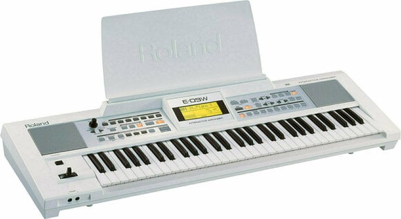 名器 ローランド ROLAND スピーカー内蔵 キーボード E-09W 美品