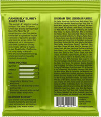 Cordes pour guitares électriques Ernie Ball 2221 Regular Slinky Cordes pour guitares électriques - 1