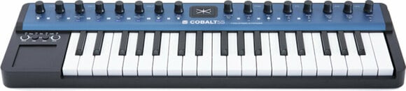 Synthesizer Modal Electronics Cobalt5S - 2