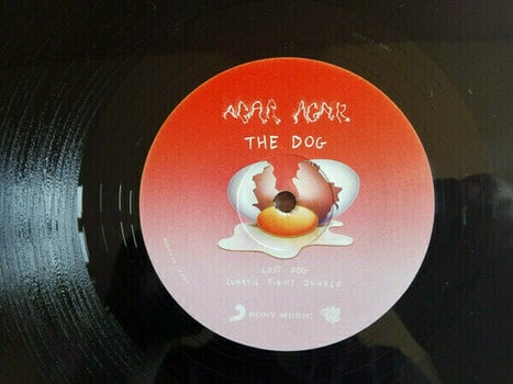 Vinyl Record Agar Agar - Dog And The Future (2 LP) - 3