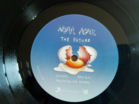 Vinyl Record Agar Agar - Dog And The Future (2 LP) - 5