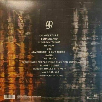 Vinyylilevy AJR - Ok Orchestra (LP) - 2