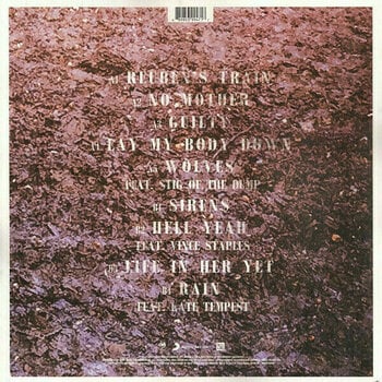Disco de vinil Rag'n'Bone Man - Wolves (LP) - 5