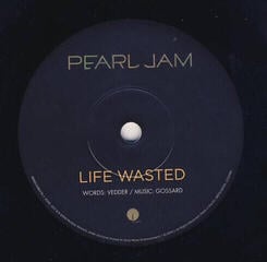 Disco in vinile Pearl Jam - World Wide Suicide (7" Vinyl) - 2