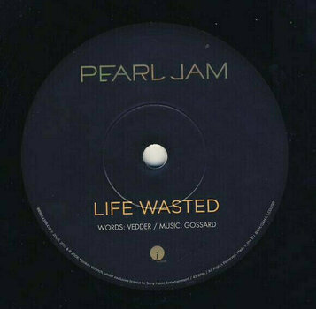 Vinyl Record Pearl Jam - World Wide Suicide (7" Vinyl) - 3