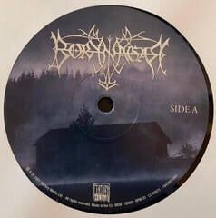 LP platňa Borknagar - Borknagar (Remastered) (2 LP) - 1