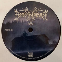 LP platňa Borknagar - Borknagar (Remastered) (2 LP) - 2