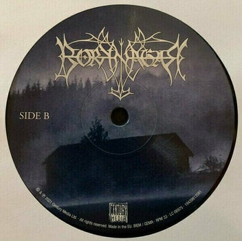 Vinyylilevy Borknagar - Borknagar (Remastered) (2 LP) - 3
