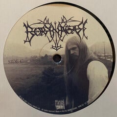 LP platňa Borknagar - Borknagar (Remastered) (2 LP) - 3