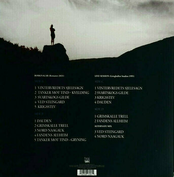 LP Borknagar - Borknagar (Remastered) (2 LP) - 6