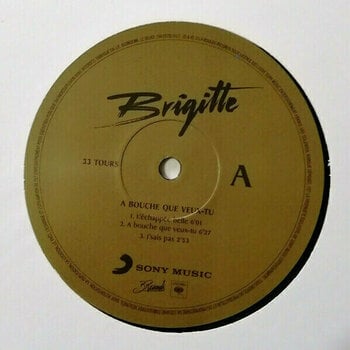 Vinyl Record Brigitte - A Bouche Que Veux-Tu (2 LP) - 2