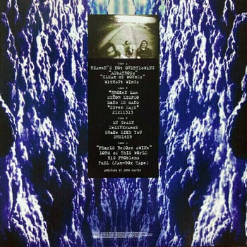 Δίσκος LP Corrosion Of Conformity - Deliverance (Bonus Track) (2 LP) - 2