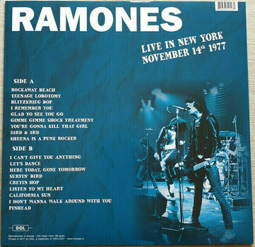 Disque vinyle Ramones - Live In New York November 14th 1977 (Orange Vinyl) (LP) - 4