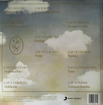 Disque vinyle Rosalia - El Mal Querer (LP) - 4
