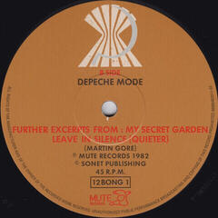 Hanglemez Depeche Mode - A Broken Frame (Box Set) (3 x 12" Vinyl) - 5