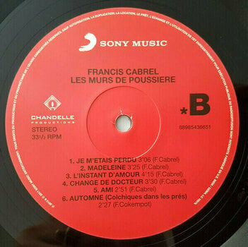 Vinyl Record Francis Cabrel - Les Murs De Poussiere (LP) - 3