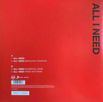 Vinyl Record Jake Bugg - All I Need (10" Vinyl) - 2