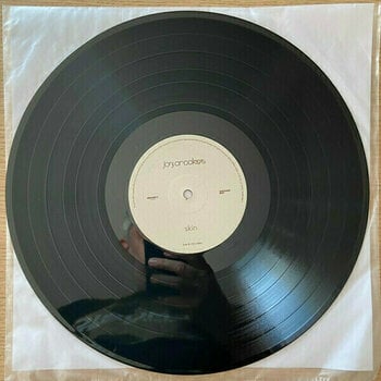Δίσκος LP Joy Crookes - Skin (LP) - 3