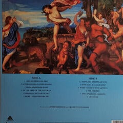 Disc de vinil Crash Test Dummies - God Shuffled His Feet (LP) - 3