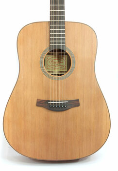 Guitarra dreadnought Pasadena D222S - 7