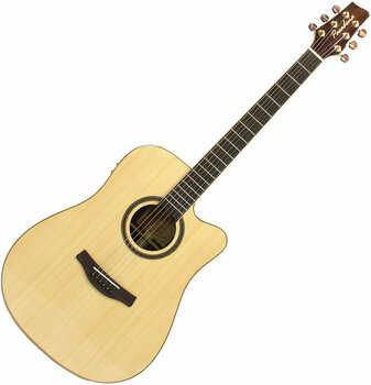 elektroakustisk gitarr Pasadena D333SCE - 5