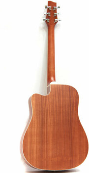 Dreadnought elektro-akoestische gitaar Pasadena AGCE1-SB - 2