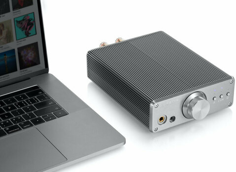 Hi-Fi-integrerade förstärkare Burson Audio Funk Silver - 5