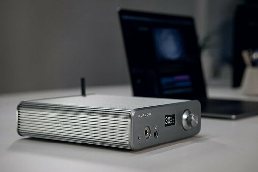 Hi-Fi försteg för hörlurar Burson Audio Conductor 3 Performance Silver - 9